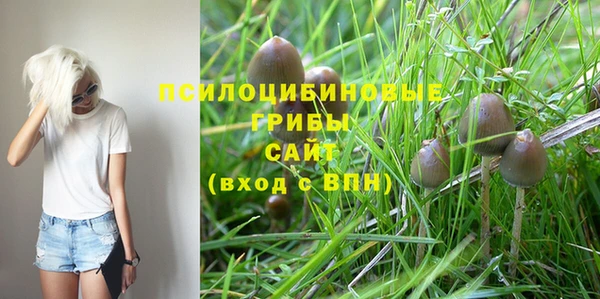 стафф Липки