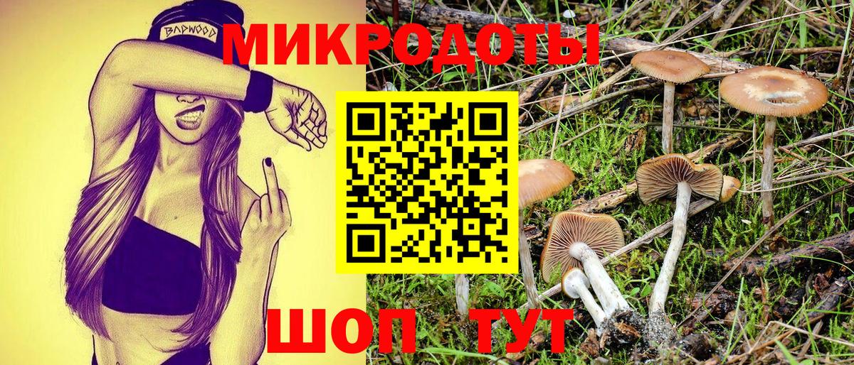 Псилоцибиновые грибы MAGIC MUSHROOMS  Вход с VPN  Шебекино  Псилоцибиновые грибы Cubensis 