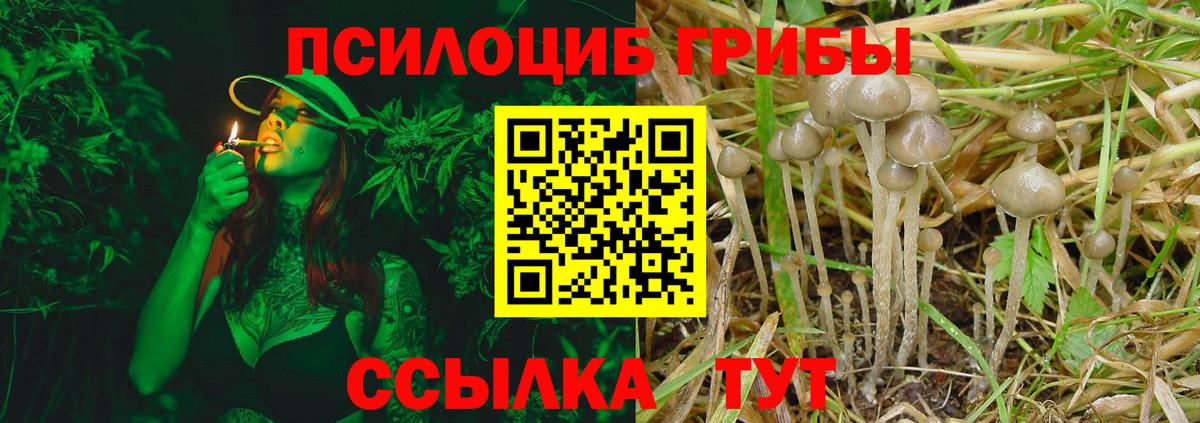 Псилоцибиновые грибы прущие грибы Шебекино